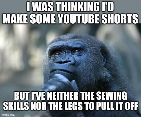 Deep Thoughts | I WAS THINKING I'D MAKE SOME YOUTUBE SHORTS; BUT I'VE NEITHER THE SEWING SKILLS NOR THE LEGS TO PULL IT OFF | image tagged in deep thoughts | made w/ Imgflip meme maker