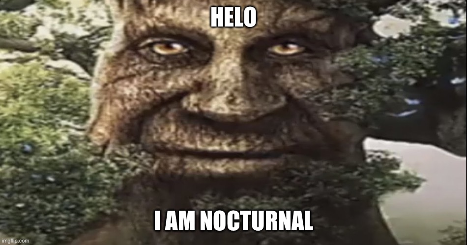 Wise mystical tree | HELO; I AM NOCTURNAL | image tagged in wise mystical tree | made w/ Imgflip meme maker