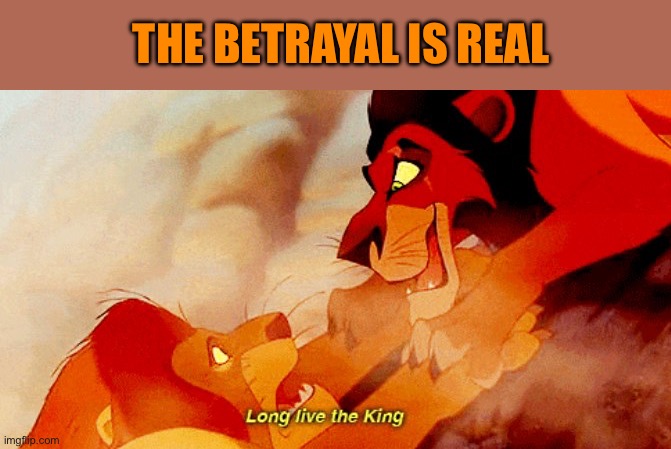 Lion king betrayal | THE BETRAYAL IS REAL | image tagged in lion king betrayal | made w/ Imgflip meme maker
