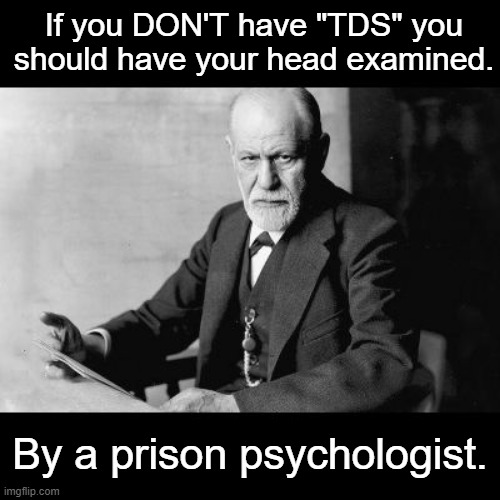 Because Reagan Closed All The "Proper" Asylums | If you DON'T have "TDS" you
should have your head examined. By a prison psychologist. | image tagged in tds,trump derangement syndrome,maga is fkn nuts | made w/ Imgflip meme maker