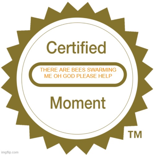 Certified Moment | THERE ARE BEES SWARMING ME OH GOD PLEASE HELP | image tagged in certified moment | made w/ Imgflip meme maker