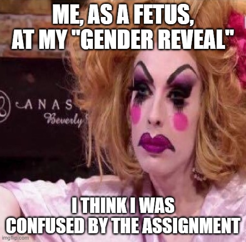 wait what? | ME, AS A FETUS, AT MY "GENDER REVEAL"; I THINK I WAS CONFUSED BY THE ASSIGNMENT | image tagged in drag queen | made w/ Imgflip meme maker