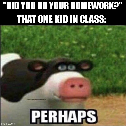 Perhaps Cow | "DID YOU DO YOUR HOMEWORK?"; THAT ONE KID IN CLASS: | image tagged in perhaps cow | made w/ Imgflip meme maker