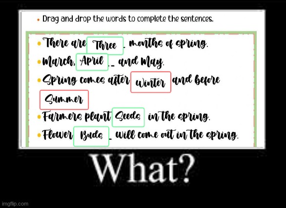 What? | image tagged in what meme | made w/ Imgflip meme maker