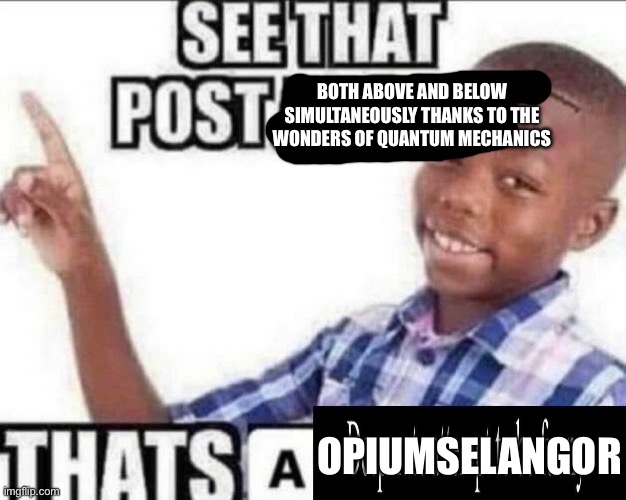 That’s a desperate attempt to be funny | BOTH ABOVE AND BELOW SIMULTANEOUSLY THANKS TO THE WONDERS OF QUANTUM MECHANICS; OPIUMSELANGOR | image tagged in that s a desperate attempt to be funny | made w/ Imgflip meme maker