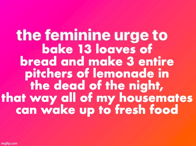 the feminine urge | bake 13 loaves of bread and make 3 entire pitchers of lemonade in the dead of the night, that way all of my housemates can wake up to fresh food | image tagged in the feminine urge,feminine,bread,lemonade,baking,cute | made w/ Imgflip meme maker