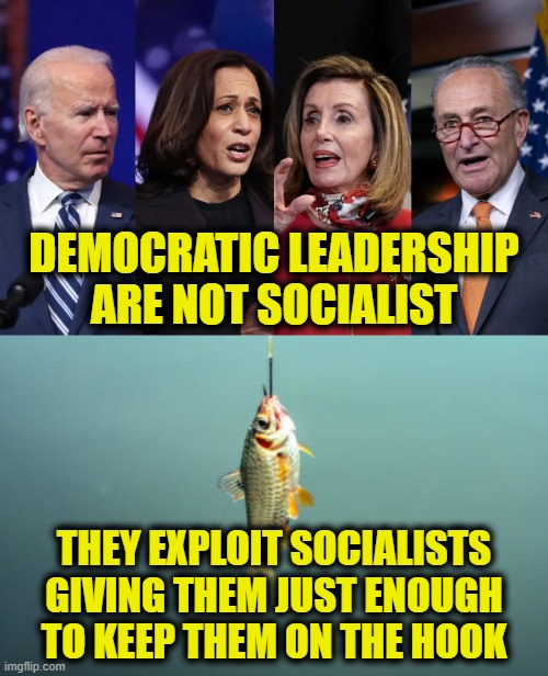 hook, line and sinker | DEMOCRATIC LEADERSHIP
ARE NOT SOCIALIST; THEY EXPLOIT SOCIALISTS
GIVING THEM JUST ENOUGH
TO KEEP THEM ON THE HOOK | image tagged in socialism,democrats | made w/ Imgflip meme maker