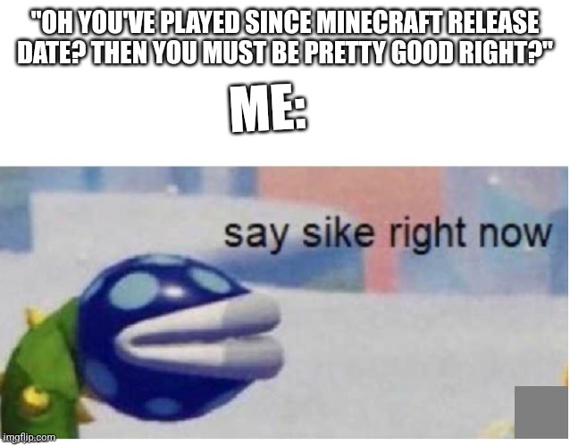 ''uh... No'' | "OH YOU'VE PLAYED SINCE MINECRAFT RELEASE DATE? THEN YOU MUST BE PRETTY GOOD RIGHT?"; ME: | image tagged in say sike right now | made w/ Imgflip meme maker