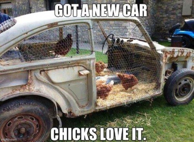 attention, this is a report bc i thought it was funny, i couldnt find the original creator bc i found it on google, but its not  | image tagged in chicken,funny,lol,car,what the heck | made w/ Imgflip meme maker