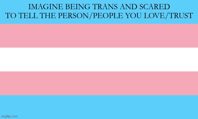 Trans Flag | IMAGINE BEING TRANS AND SCARED TO TELL THE PERSON/PEOPLE YOU LOVE/TRUST | image tagged in trans flag | made w/ Imgflip meme maker