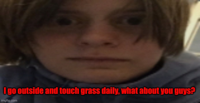 . | I go outside and touch grass daily, what about you guys? | image tagged in darthswede silly serious face | made w/ Imgflip meme maker