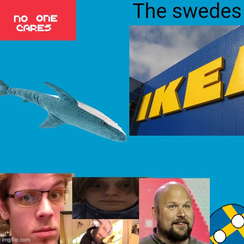 The swedes | The swedes | image tagged in blank weezer blue album edit | made w/ Imgflip meme maker