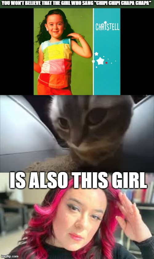 You won't believe #2 | YOU WON'T BELIEVE THAT THE GIRL WHO SANG "CHIPI CHIPI CHAPA CHAPA"; IS ALSO THIS GIRL | image tagged in dubidubidu cat | made w/ Imgflip meme maker