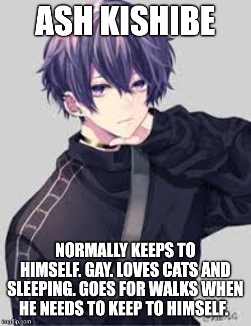 Anyone wanna Rp? | ASH KISHIBE; NORMALLY KEEPS TO HIMSELF. GAY. LOVES CATS AND SLEEPING. GOES FOR WALKS WHEN HE NEEDS TO KEEP TO HIMSELF. | image tagged in roleplaying,anime | made w/ Imgflip meme maker