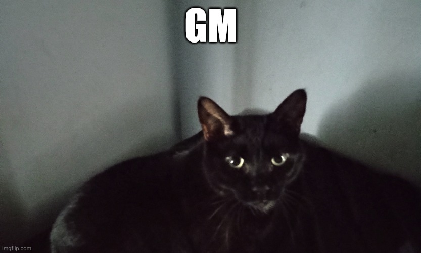 GM | made w/ Imgflip meme maker