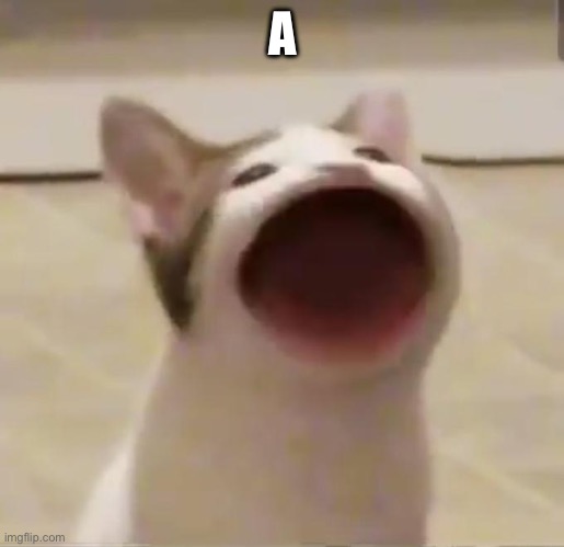 Pop Cat | A | image tagged in pop cat | made w/ Imgflip meme maker