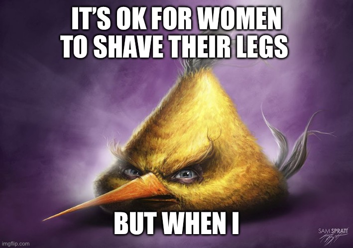 Realistic yellow angry bird | IT’S OK FOR WOMEN TO SHAVE THEIR LEGS; BUT WHEN I | image tagged in realistic yellow angry bird | made w/ Imgflip meme maker