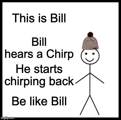 Be Like Bill | This is Bill; Bill hears a Chirp; He starts chirping back; Be like Bill | image tagged in memes,be like bill | made w/ Imgflip meme maker