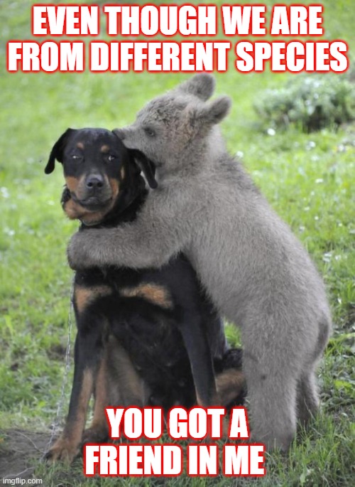 friendship  | EVEN THOUGH WE ARE FROM DIFFERENT SPECIES; YOU GOT A FRIEND IN ME | image tagged in friendship | made w/ Imgflip meme maker