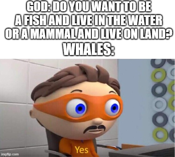 Protegent Yes | GOD: DO YOU WANT TO BE A FISH AND LIVE IN THE WATER OR A MAMMAL AND LIVE ON LAND? WHALES: | image tagged in protegent yes | made w/ Imgflip meme maker