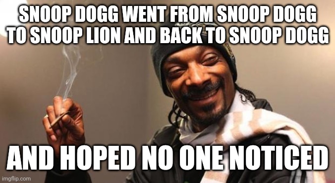 I remember. I won't forget. | SNOOP DOGG WENT FROM SNOOP DOGG TO SNOOP LION AND BACK TO SNOOP DOGG; AND HOPED NO ONE NOTICED | image tagged in snoop dogg | made w/ Imgflip meme maker