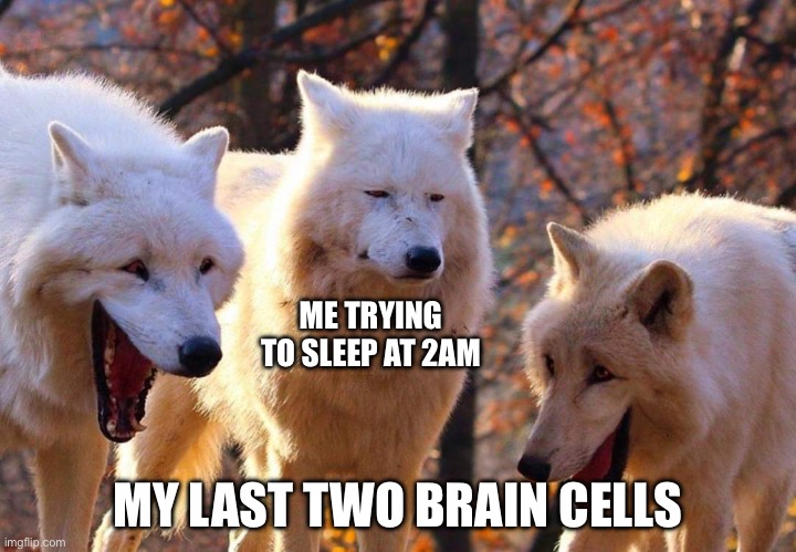 2 brain cells left | ME TRYING TO SLEEP AT 2AM; MY LAST TWO BRAIN CELLS | image tagged in laughing dogs with pissed dog | made w/ Imgflip meme maker