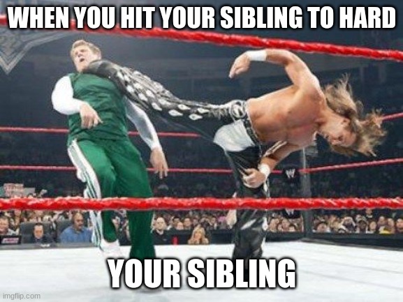 bro on a different level | WHEN YOU HIT YOUR SIBLING TO HARD; YOUR SIBLING | image tagged in superkick | made w/ Imgflip meme maker