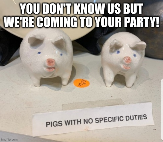 Party Pigs with no specific duties | YOU DON'T KNOW US BUT
WE'RE COMING TO YOUR PARTY! | image tagged in pigs with no specific purpose,party pigs,party crashers,memes,ceramics,yard sale | made w/ Imgflip meme maker