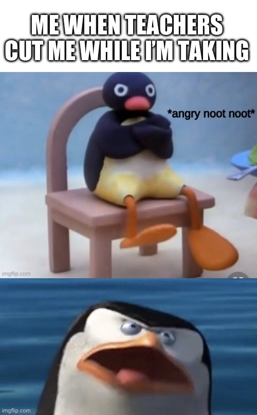 It’s true | ME WHEN TEACHERS CUT ME WHILE I’M TAKING | image tagged in angry noot noot,wouldn't that make you | made w/ Imgflip meme maker
