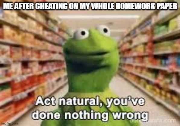 don't cheat | ME AFTER CHEATING ON MY WHOLE HOMEWORK PAPER | image tagged in act natural you've done nothing wrong,memes,school,school sucks | made w/ Imgflip meme maker