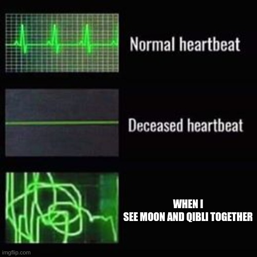 My life | WHEN I SEE MOON AND QIBLI TOGETHER | image tagged in heartbeat rate | made w/ Imgflip meme maker