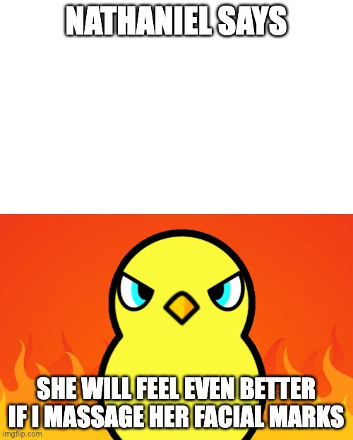 Duck Life Duck Hates | NATHANIEL SAYS SHE WILL FEEL EVEN BETTER IF I MASSAGE HER FACIAL MARKS | image tagged in duck life duck hates | made w/ Imgflip meme maker