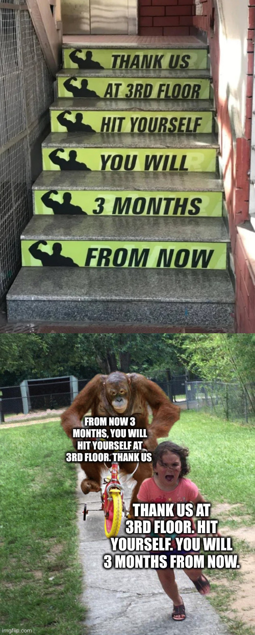I want never Go to this Gym ever | FROM NOW 3 MONTHS, YOU WILL HIT YOURSELF AT 3RD FLOOR. THANK US; THANK US AT 3RD FLOOR. HIT YOURSELF. YOU WILL 3 MONTHS FROM NOW. | image tagged in funny,you had one job,gym | made w/ Imgflip meme maker