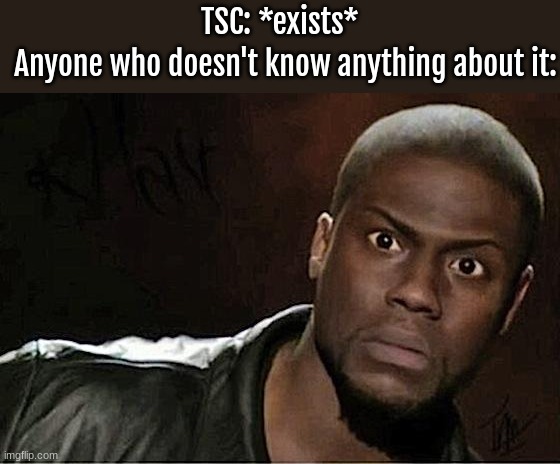 real tho- | TSC: *exists*; Anyone who doesn't know anything about it: | image tagged in memes,kevin hart,comment if you know tsc | made w/ Imgflip meme maker