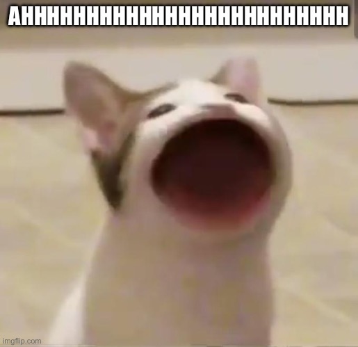 AHHHHHHHHHHHHHHHHHHHHHHHHHH | AHHHHHHHHHHHHHHHHHHHHHHHHH | image tagged in pop cat,ahhhhhhhhhhhhh | made w/ Imgflip meme maker