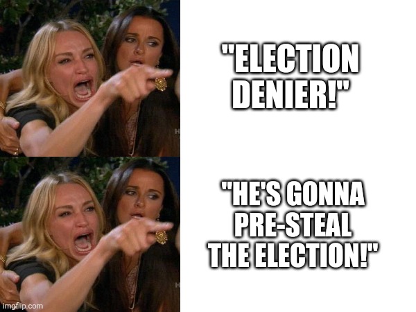Woe unto you.. Hypocrites | "ELECTION DENIER!"; "HE'S GONNA PRE-STEAL THE ELECTION!" | image tagged in woman yelling at cat | made w/ Imgflip meme maker