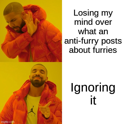 They can't hurt you if you pay no attention to them, attention is what they want. Just ignore them. | Losing my mind over what an anti-furry posts about furries; Ignoring it | image tagged in memes,drake hotline bling,furry,anti furry | made w/ Imgflip meme maker