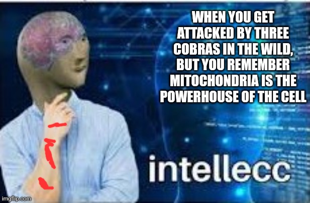 Thanks school!!! | WHEN YOU GET ATTACKED BY THREE COBRAS IN THE WILD, BUT YOU REMEMBER MITOCHONDRIA IS THE POWERHOUSE OF THE CELL | image tagged in memes | made w/ Imgflip meme maker
