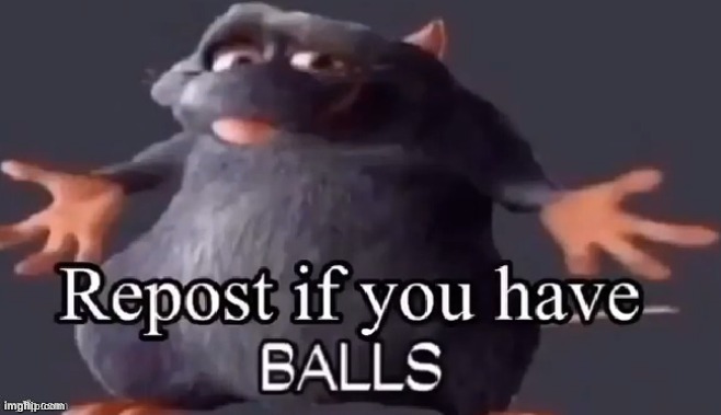 Repost if you have BALLS | image tagged in repost if you have balls | made w/ Imgflip meme maker