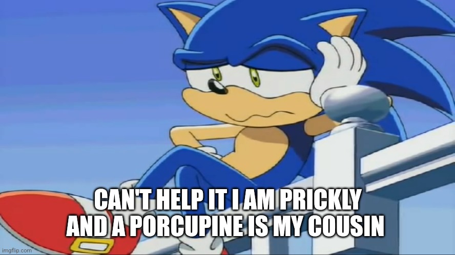 Impatient Sonic - Sonic X | CAN'T HELP IT I AM PRICKLY AND A PORCUPINE IS MY COUSIN | image tagged in impatient sonic - sonic x | made w/ Imgflip meme maker