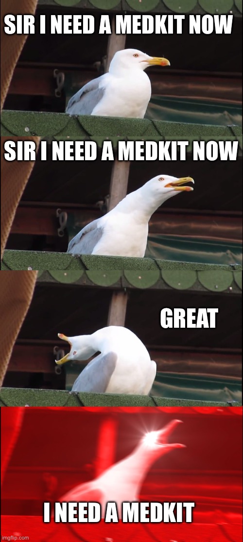 Inhaling Seagull | SIR I NEED A MEDKIT NOW; SIR I NEED A MEDKIT NOW; GREAT; I NEED A MEDKIT | image tagged in memes,inhaling seagull | made w/ Imgflip meme maker