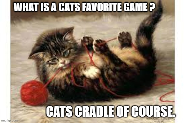 memes by Brad Cats cradle for cats | WHAT IS A CATS FAVORITE GAME ? CATS CRADLE OF COURSE. | image tagged in cats,funny,games,cute kittens,funny cats,humor | made w/ Imgflip meme maker