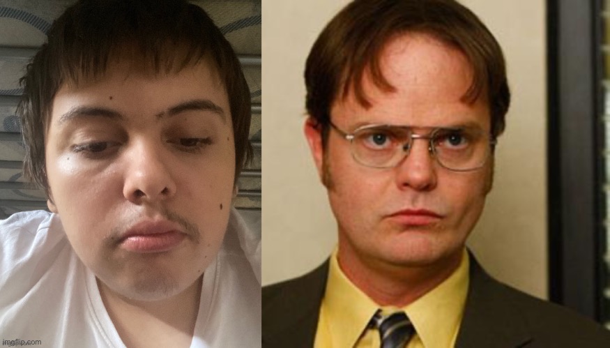 Do I look like Dwight from the office? Be honest | image tagged in dwight fact | made w/ Imgflip meme maker