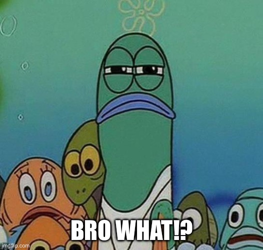 SpongeBob | BRO WHAT!? | image tagged in spongebob | made w/ Imgflip meme maker