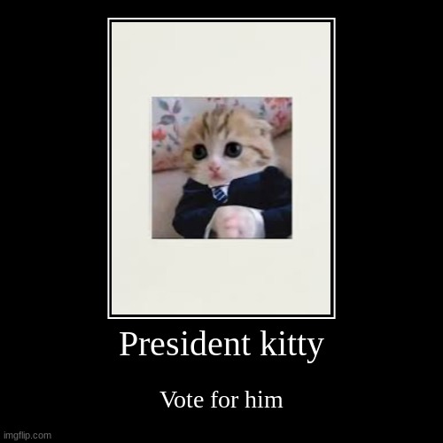 Meet ur new president | President kitty | Vote for him | image tagged in funny,demotivationals,cats,memes | made w/ Imgflip demotivational maker