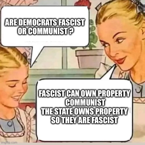 Communist or Fascist | ARE DEMOCRATS FASCIST 
OR COMMUNIST ? FASCIST CAN OWN PROPERTY 
COMMUNIST THE STATE OWNS PROPERTY 
SO THEY ARE FASCIST | image tagged in mom knows,memes,funny,gifs | made w/ Imgflip meme maker