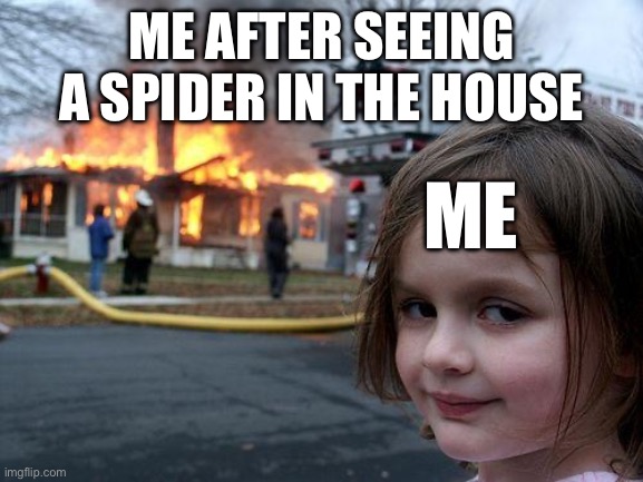 Me after see spider | ME AFTER SEEING A SPIDER IN THE HOUSE; ME | image tagged in memes,disaster girl | made w/ Imgflip meme maker