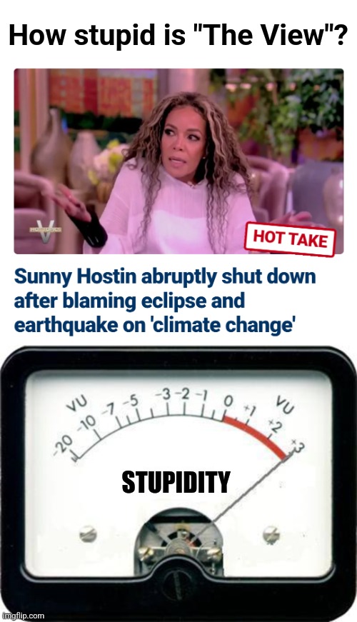 How stupid is "The View"? STUPIDITY | image tagged in stupidity meter,the view,sunny hostin,democrats,libs,climate change | made w/ Imgflip meme maker