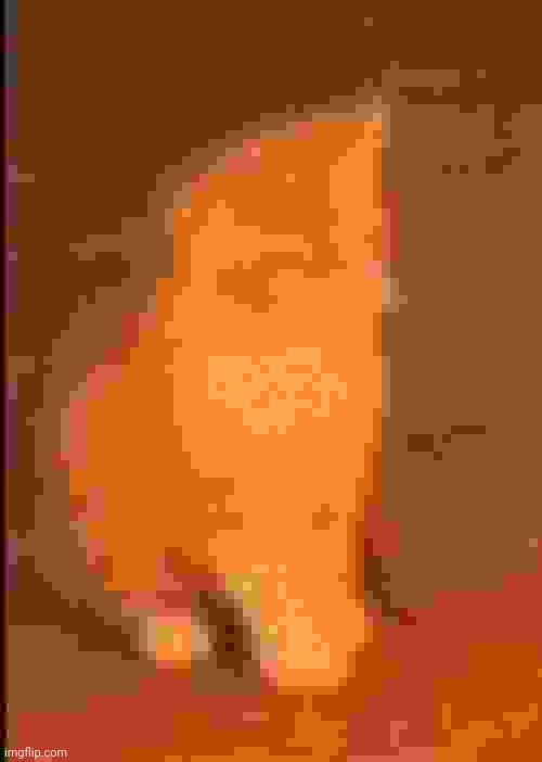 demonic orange cat kitten | image tagged in demonic orange cat kitten | made w/ Imgflip meme maker