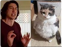 High Quality Me trying to explain to my cat Blank Meme Template